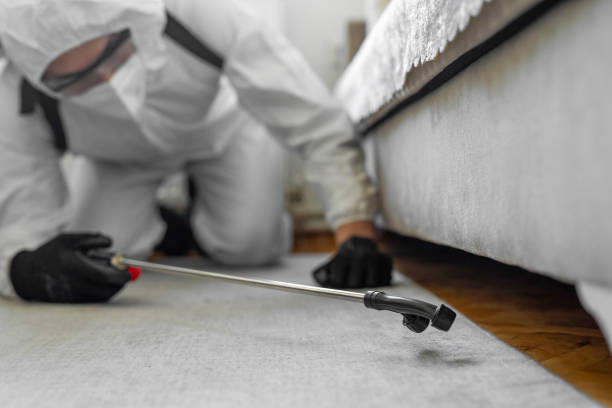 Professional Bed Bug Control technician working in Hayden, ID
